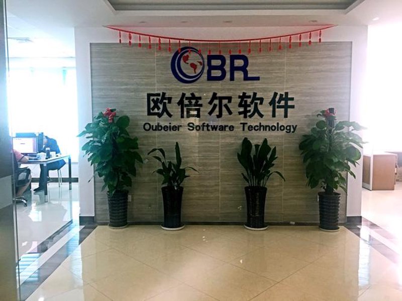 软件定制开发